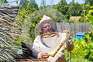 Beekeeper holding bees and honeycomb