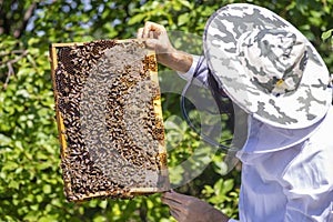 Beekeeper holding frame Background texture pattern section wax Bees work honeycomb from bee hive filled golden honey Concept