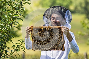 Beekeeper holding frame Background texture pattern section wax Bees work honeycomb from bee hive filled golden honey Concept
