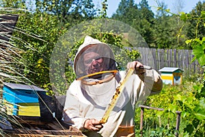 Beekeeper holding a frame of honeycomb