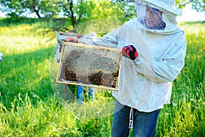 Beekeeper holding frame of honeycomb with bees