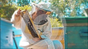 Beekeeper holding a honeycomb full of bees. Beekeeper inspecting honeycomb frame at apiary. Beekeeping concept slow