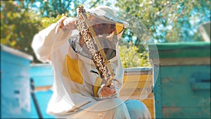 Beekeeper holding a honeycomb full of bees. Beekeeper inspecting honeycomb frame at apiary. Beekeeping concept slow