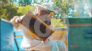 Beekeeper holding a honeycomb full of bees. Beekeeper inspecting honeycomb frame at apiary. Beekeeping concept slow