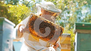 Beekeeper holding a honeycomb full of bees. Beekeeper inspecting honeycomb frame at apiary. Beekeeping concept slow