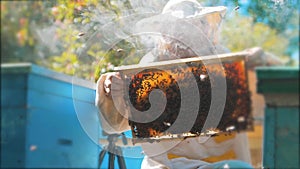 Beekeeper holding a honeycomb full of bees. Beekeeper inspecting honeycomb frame at apiary. Beekeeping concept slow