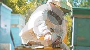 Beekeeper holding a honeycomb full of bees. Beekeeper inspecting honeycomb frame at apiary. Beekeeping concept slow