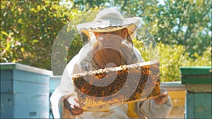 Beekeeper holding a honeycomb full of bees. Beekeeper inspecting honeycomb frame at apiary. Beekeeping concept slow