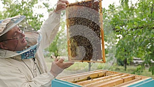 beekeeper holding a honeycomb full of bees. Beekeeper inspecting honeycomb frame at apiary. Beekeeping concept slow