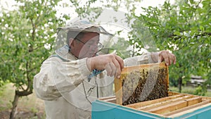 beekeeper holding a honeycomb full of bees. Beekeeper inspecting honeycomb frame at apiary. Beekeeping concept slow