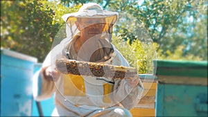 Beekeeper holding a honeycomb full of bees. Beekeeper inspecting honeycomb frame at apiary. lifestyle Beekeeping concept