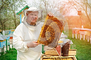 Beekeeper holding a honeycomb full of bees. Beekeeper in protective workwear inspecting honeycomb frame at apiary. Works