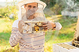 Beekeeper holding a honeycomb full of bees near the beehives. A man checks the honeycomb. Beekeeping concept