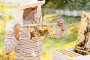Beekeeper holding a honeycomb full of bees near the beehives. A man checks the honeycomb. Beekeeping concept