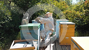 Beekeeper holding a honeycomb full of lifestyle bees. Beekeeper inspecting honeycomb frame at apiary. Beekeeping concept