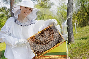 Beekeeper holding a honeycomb  woman  in protective workwear inspecting honeycomb frame at apiary.