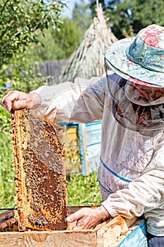 Beekeeper holds in hand a frame with honey