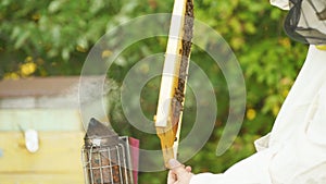 Beekeeper holds a honey cage with bees in his hands.