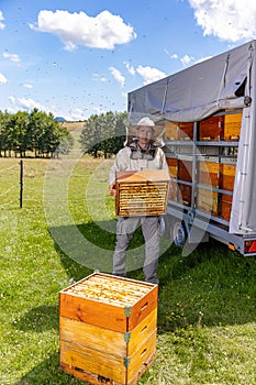 Beekeeper holds a honey cells