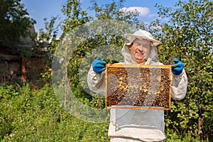 Beekeeper with honeycomb