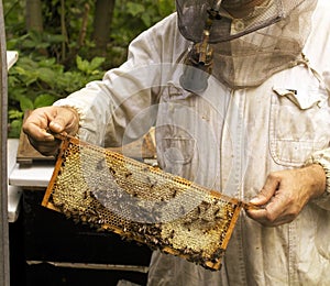 Beekeeper with honeycomb