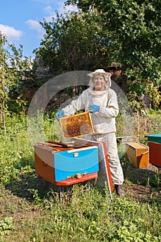 Beekeeper with honeycomb in the apiary