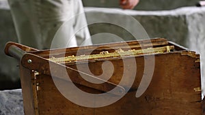 Beekeeper with honeycombs