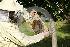 Beekeeper inspected hive