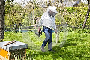 The beekeeper looking at the bee to the hive. Care of bees in the apiary