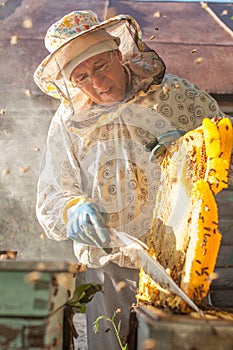 The beekeeper looks after bees, honeycombs, a lot of honey, in a protective beekeeper`s beast. Concept: bee hive, pure natural pr