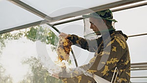 Beekeeper man checking wooden frame before harvesting honey in apiary