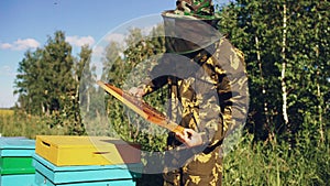 Beekeeper man checking wooden frame before harvesting honey in apiary