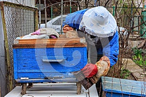 Beekeeper man in protection mask and other work equipment fumigating bee hive and collecting honey on countryside household apiary