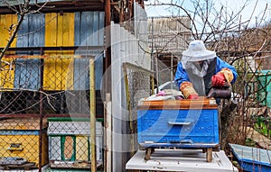 Beekeeper man in protection mask and other work equipment fumigating bee hive and collecting honey on countryside household apiary