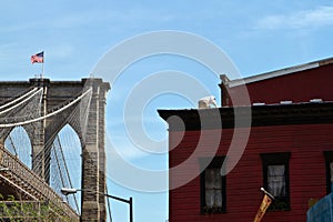 Beekeeper on NYC rooftop