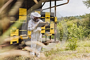 Beekeeper observing and checking a hive entrance