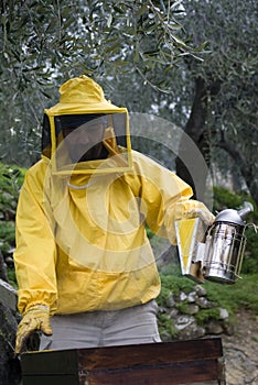 Beekeeper opened beehive