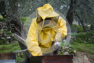 Beekeeper opened beehive