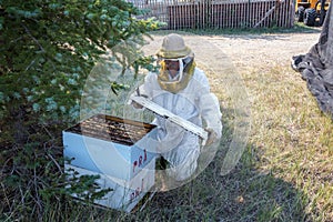 Beekeeper Opening a Hive