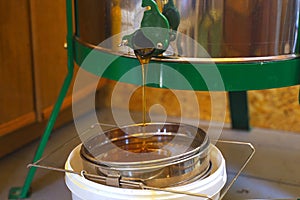The beekeeper opens the honey extractor valve and the honey flows out of the extractor onto the filter sieve.