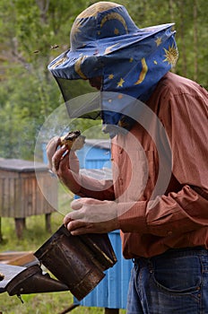 Beekeeper preparing a smoker for fumigating bees