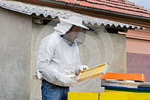 The beekeeper in protective clothes checks honeycomb frame in apiary on spring day