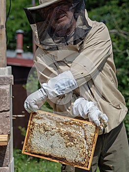 Beekeeper in protective workwear holding a honeycomb full of bees and honey.