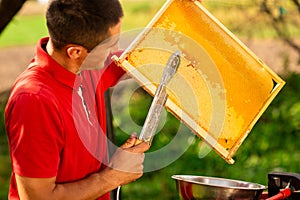 Beekeeper in red t-shirt cuts wax from honeycomb frame with a special knife into a bowl. Honey production. Close up