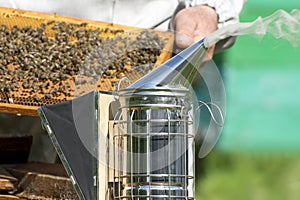 The beekeeper`s smoker for fumigation of beehives on an apiary close up