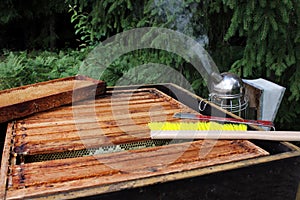 Beekeeper`s tools on a beehive