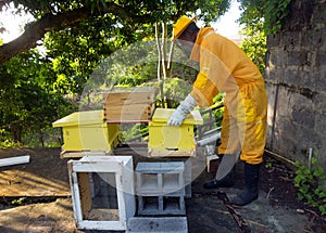 a beekeeper securing his newly-built double bee hive after transferring frames from a brood box