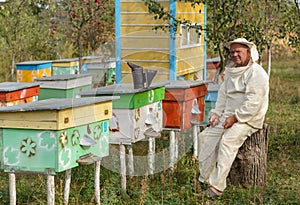 Beekeeper sitting on a tree near the hive