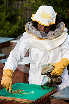 Beekeeper with smoker