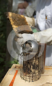 Beekeeper and smoker photo